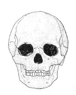 12 000yr Human Skull, Fish Hoek Man from Peers Cave